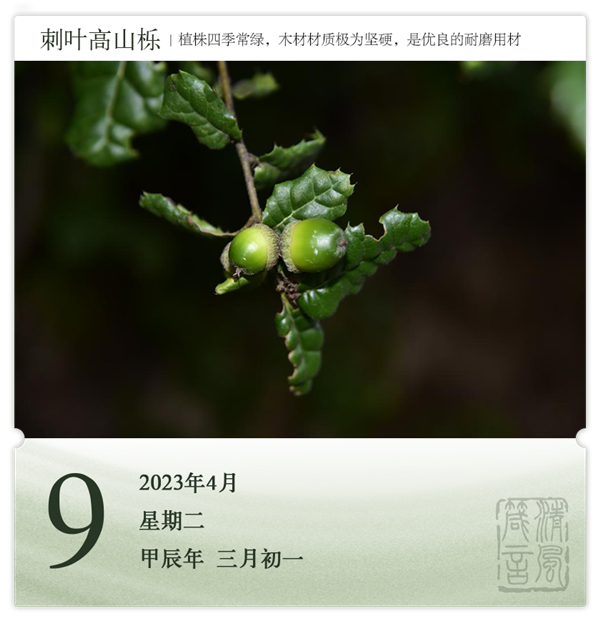 1712478771416977.png 箴历日历4-9.png