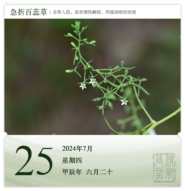 1721721969870686.png 箴历日历7-25.png