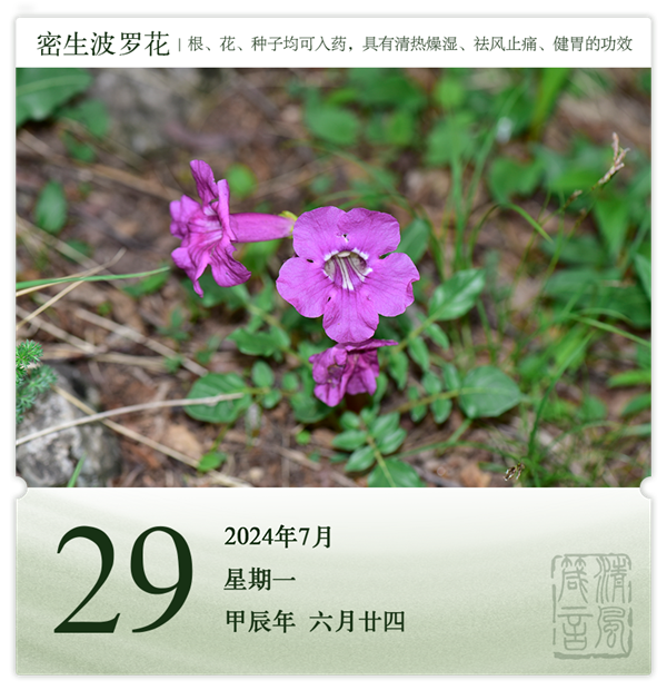 1721985162685983.png 箴历日历7-29.png