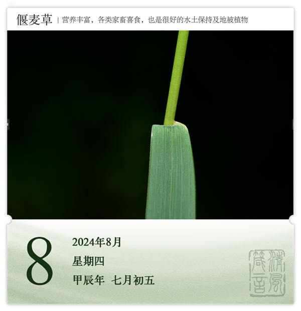 1722569043239193.png 箴历日历8-8.png