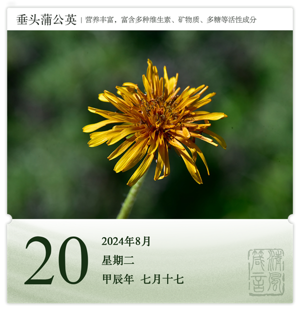 1722581643232967.png 箴历日历8-20.png