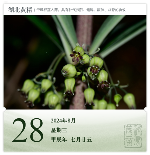 1722582424159649.png 箴历日历8-28.png