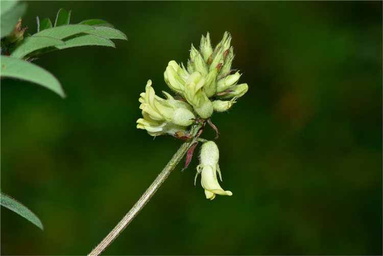 1730103006950642.png 29-2.png