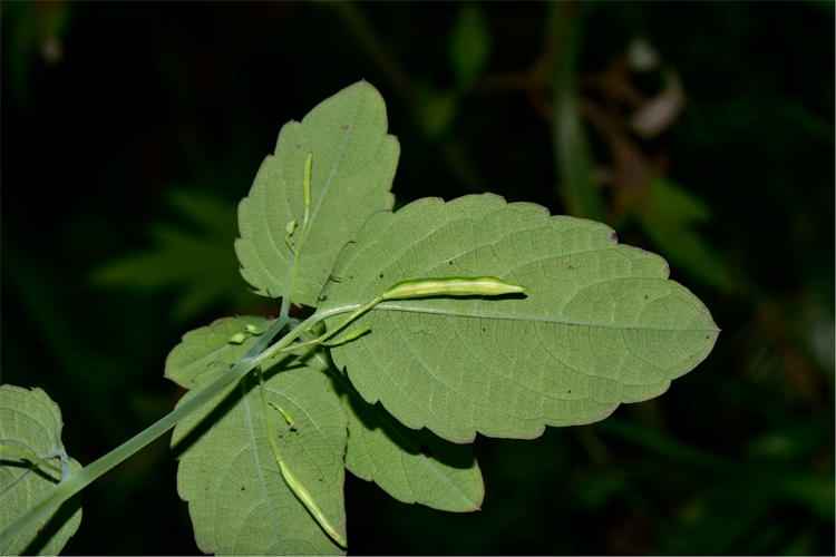 1730189345431706.png 19-2.png