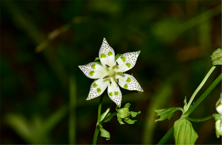 1730189512392975.png 21-2.png