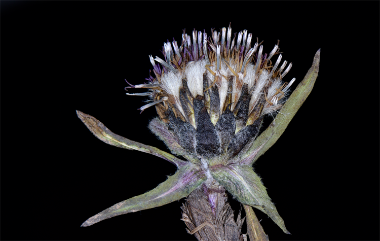 1732868646668210.png 5-2.png