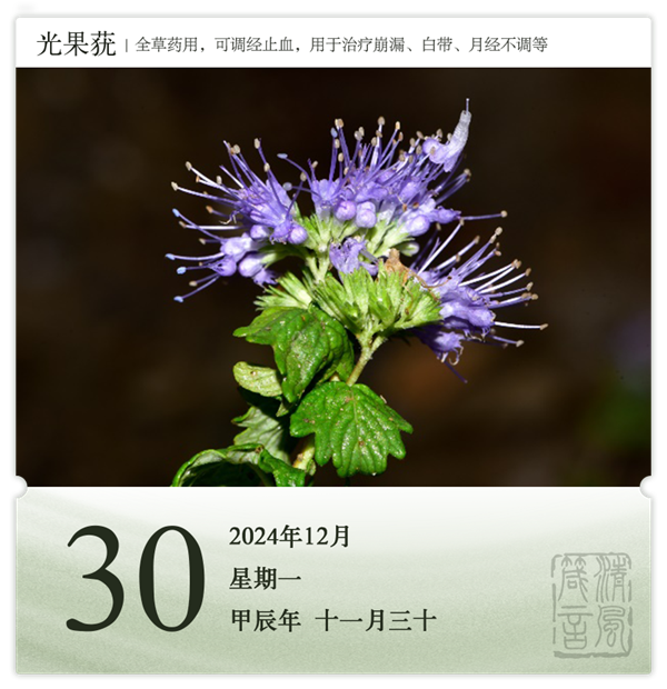 1732871807817724.png 箴历日历12-30.png