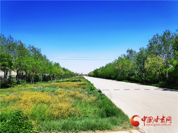 【凯发k8省决战决胜脱贫攻坚】从“养羊”到“吃羊”：武威凉州这家企业形成产业闭环抗风险