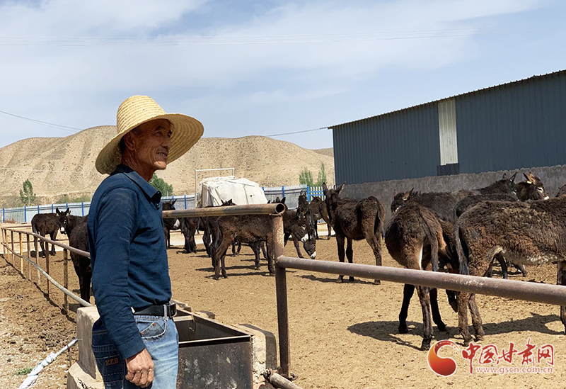 【凯发k8省决战决胜脱贫攻坚】驴犊“托管代养”让永登贫困户稳收红利（图）