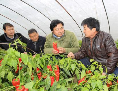 兰州市农业科技人员“三下乡”为农民开展技术培训