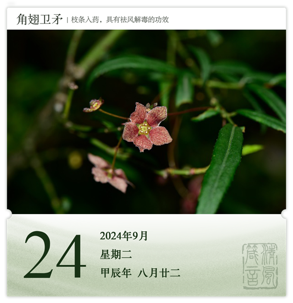 箴历日历9-24.png