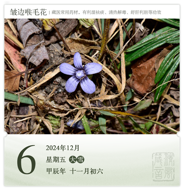 箴历日历12-6.png