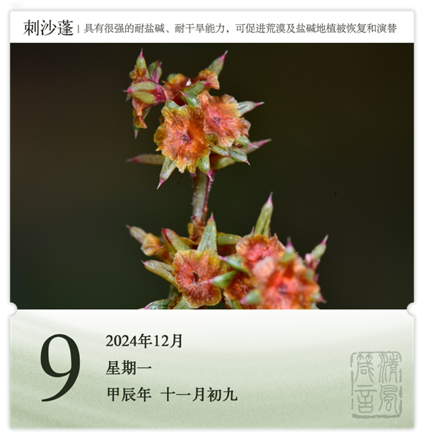 箴历日历12-9.png
