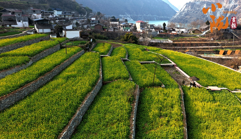 【小陇画报·473期】春到文县早 花开碧水间